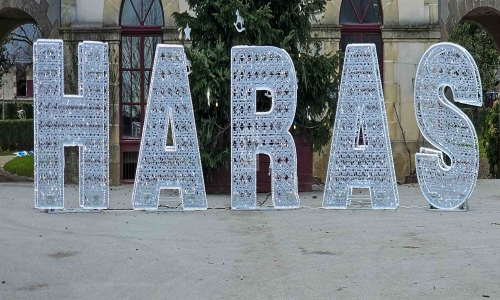 Noël 2024 à La Roche-sur-Yon : marché, animations et village du Père Noël