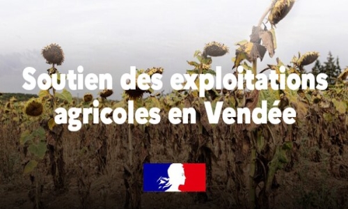 Vendée. Sécheresse : jusqu’à 10 000 € d’aide pour les exploitations agricoles fragilisées