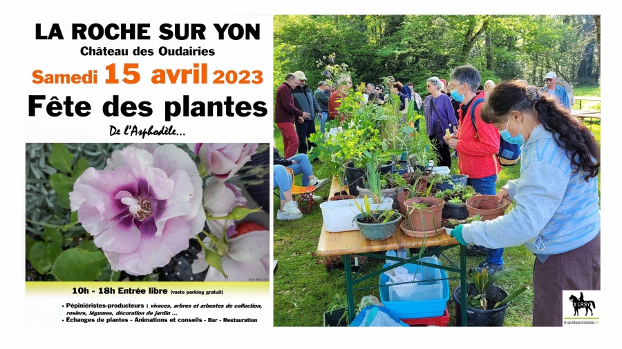 Fête_des_plantes_2023_La_Roche-sur-yon_2