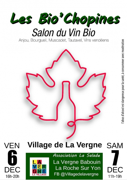 Village_de_la_vergne_1-11