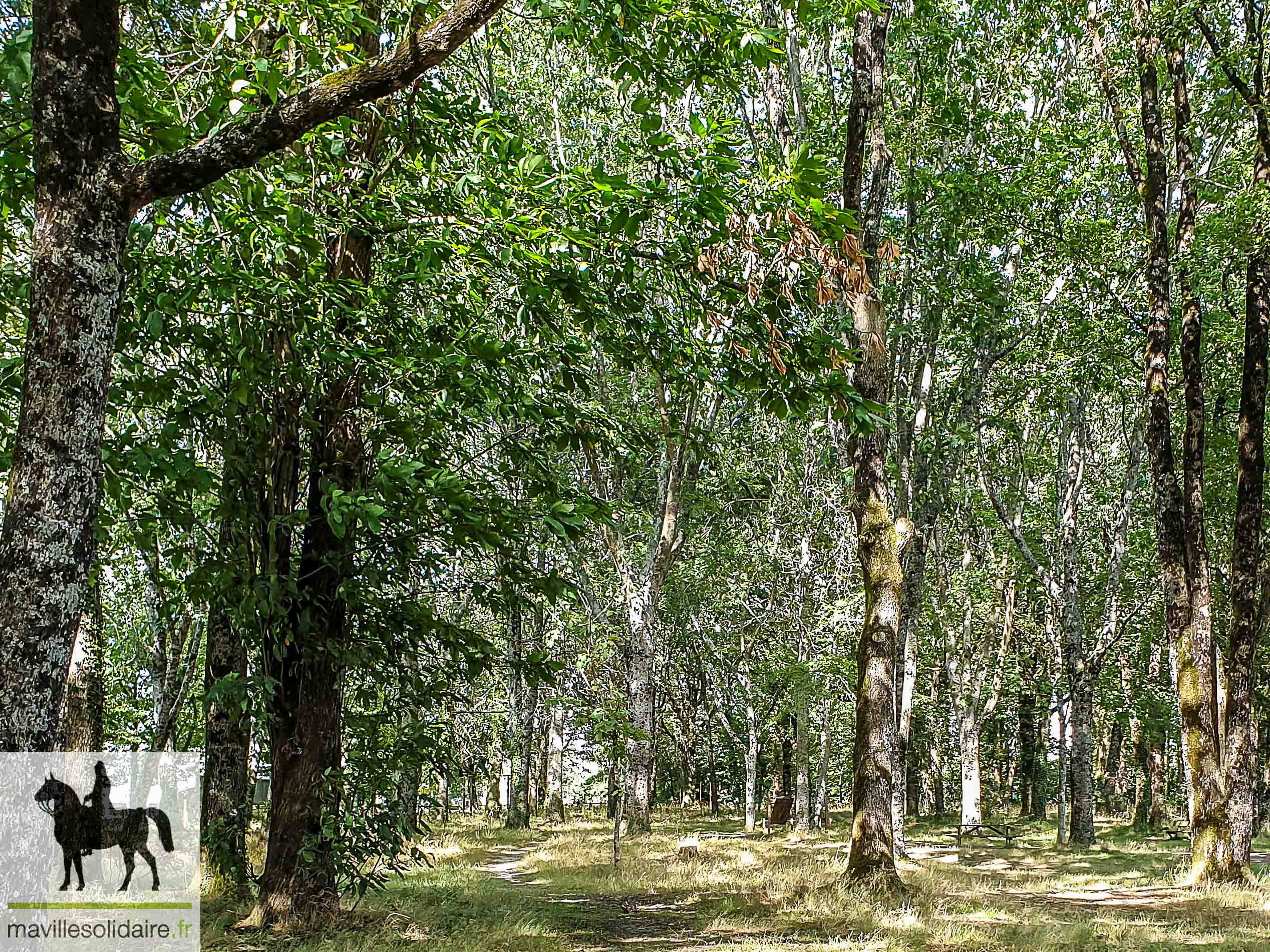 "Ma ville Nature" les rendez-vous de Janvier