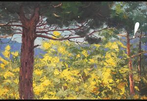 La Roche-sur-Yon. Visite « Le mimosa, de l’Australie à l’île de Noirmoutier »